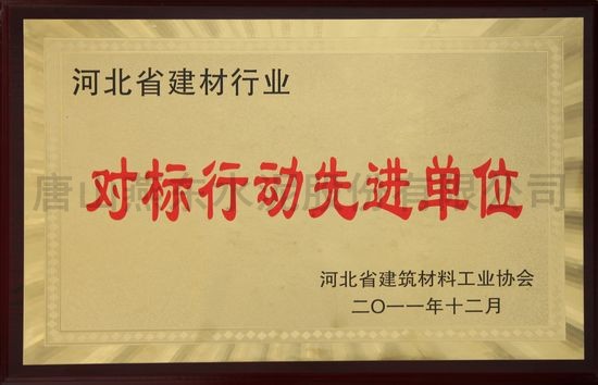 對標(biāo)行動先進(jìn)單位